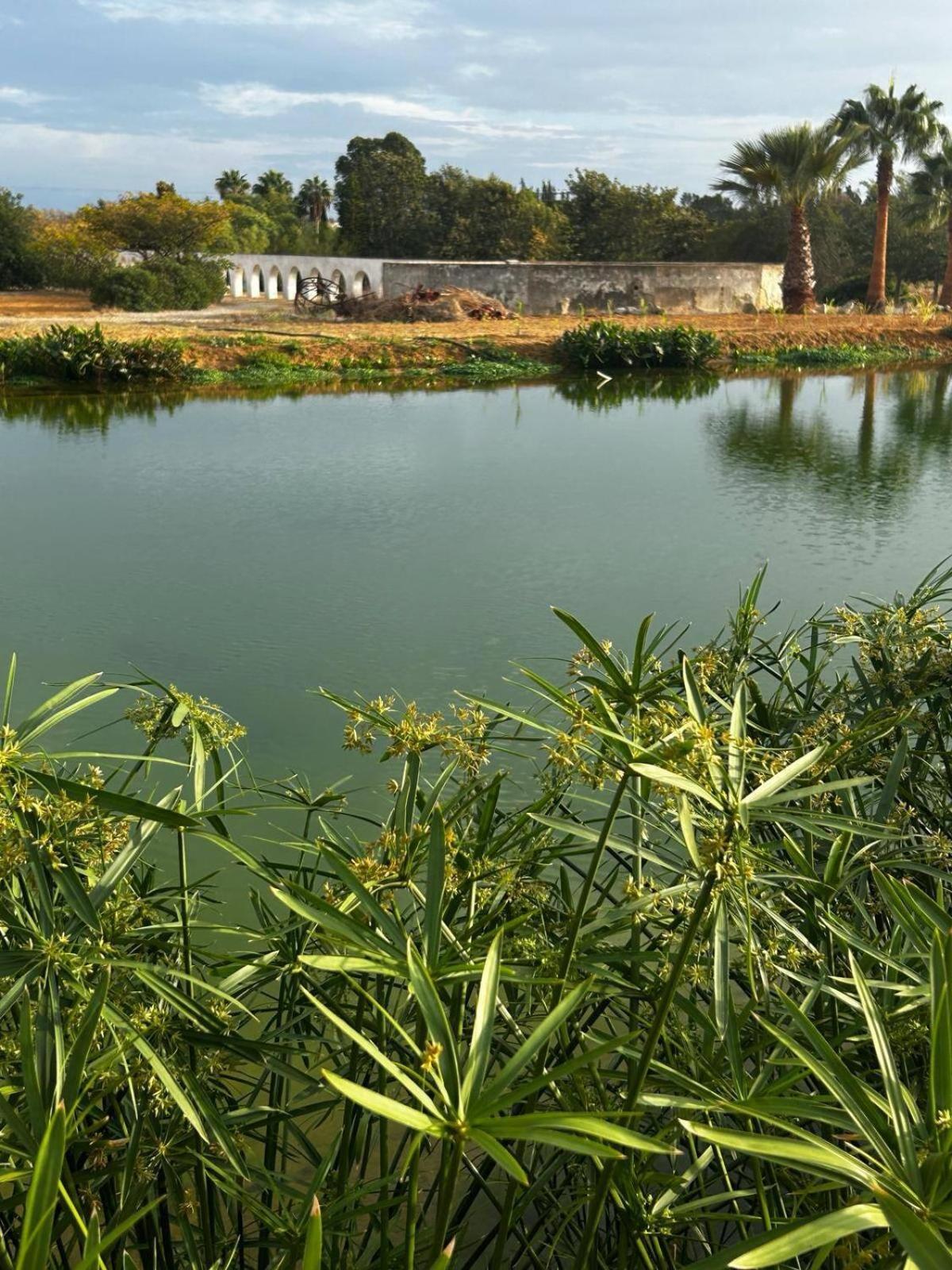 Glamping On Organic Yoga Farm With Natural Swimming Pool Near Beach 蒙卡拉帕乔 外观 照片