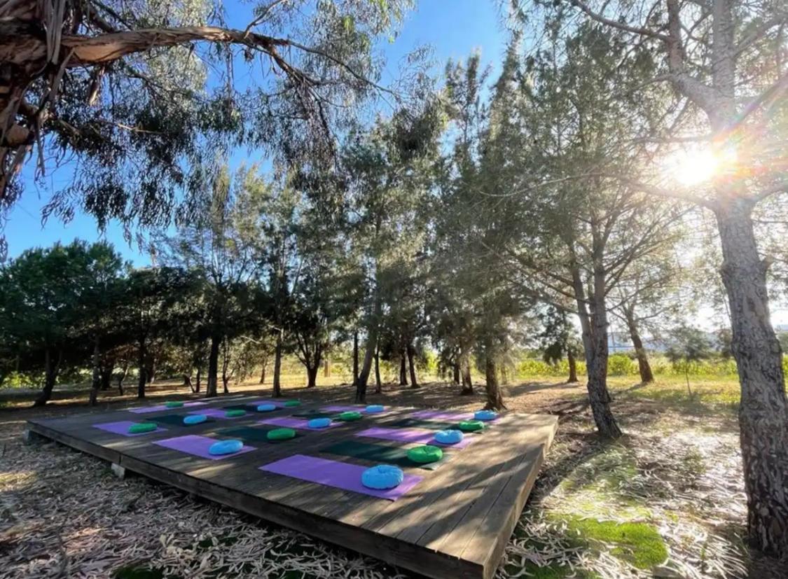 Glamping On Organic Yoga Farm With Natural Swimming Pool Near Beach 蒙卡拉帕乔 外观 照片