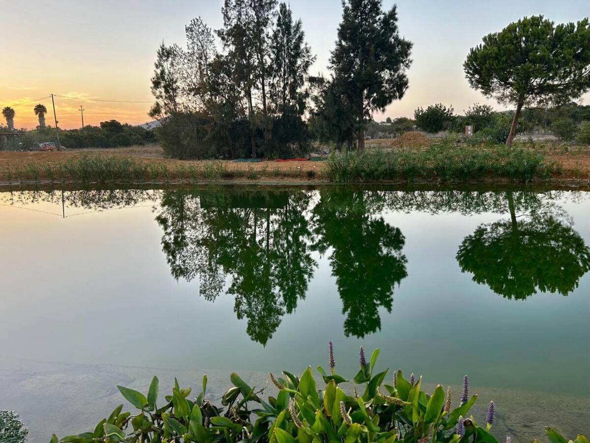 Glamping On Organic Yoga Farm With Natural Swimming Pool Near Beach 蒙卡拉帕乔 外观 照片